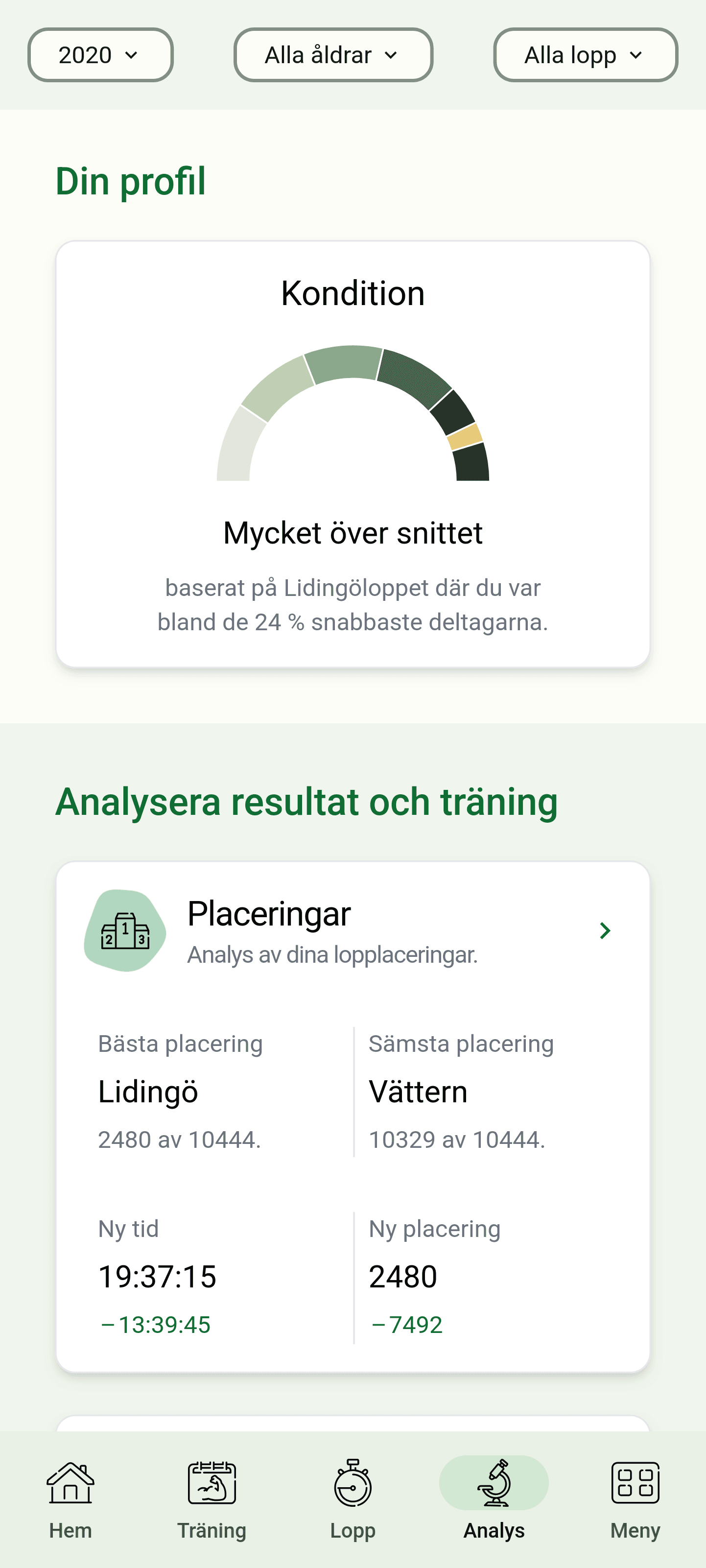 Analysis Screenshot